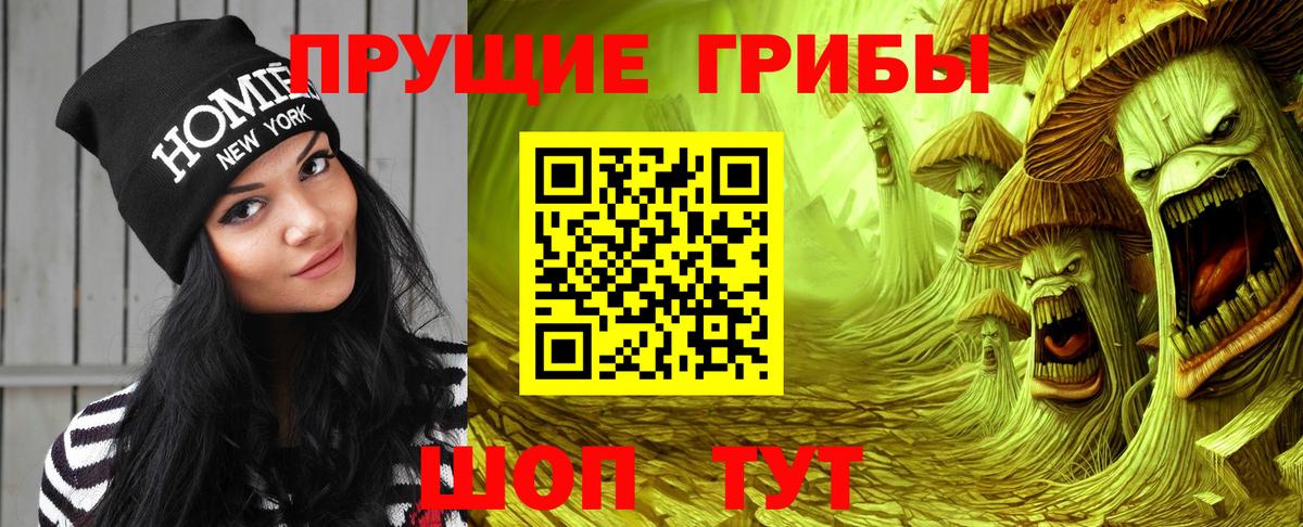 Псилоцибиновые грибы MAGIC MUSHROOMS  Вход с VPN  Псилоцибиновые грибы мицелий  Бирск 